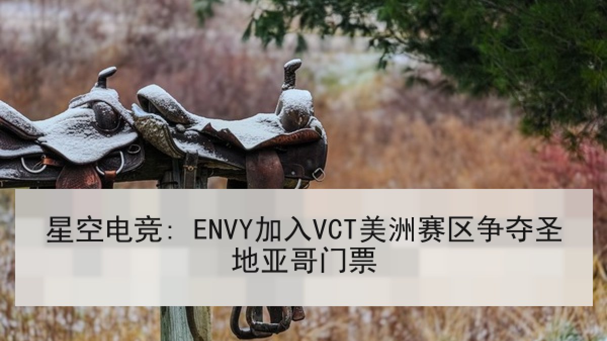 星空电竞: ENVY加入VCT美洲赛区争夺圣地亚哥门票