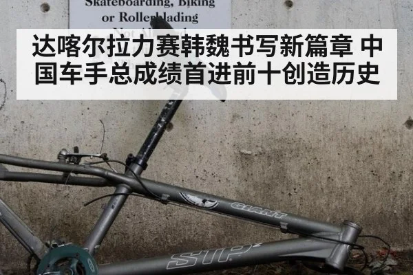 达喀尔拉力赛韩魏书写新篇章 中国车手总成绩首进前十创造历史