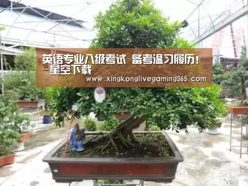 星空下载