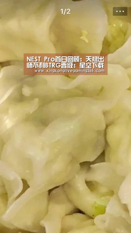 NEST Pro首日回顾：天禄出师不利BTRG晋级：星空下载