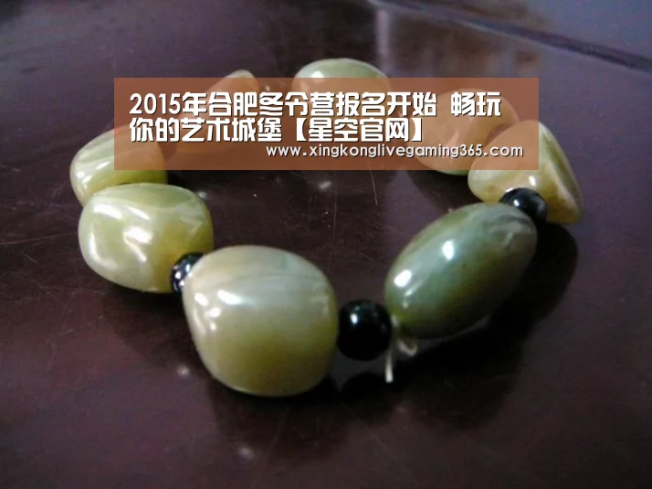 2015年合肥冬令营报名开始 畅玩你的艺术城堡【星空官网】